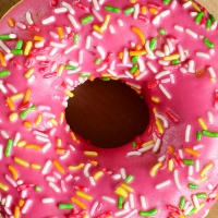 The Homer Simpson's Donuts